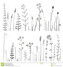 White And Black Wild Flowers Drawing Wildflower Drawing Flower Drawing Flower Doodles