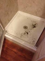 When you have a basement drain backup, these are often the first questions: How Sewer Water Can Affect My Health