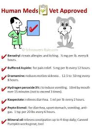 Human Meds Vet Approved Meds For Dogs Dogs Dogs Puppies