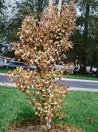 Check spelling or type a new query. Salinity Management Guide Solve A Problem Related To Plants Water Or Soil