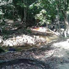 • 13 km from bandar kangar. Photos At Hutan Lipur Air Menderu 45 Visitors