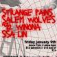 Strange Pains, Salem Wolves, '92 Winona, & SSA LIN event in Providence, RI