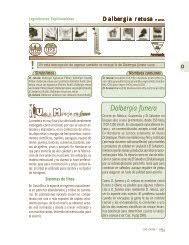 Image result for Nolletia zambesica