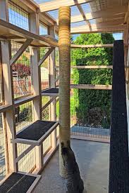 Next, i built an enclosure that leans against the house around the basement door. A Guide To Outdoor Cat Enclosures Catio World