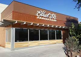 Hotels near the district at green valley ranch. Ethel M Chocolate Botanical Cactus Garden