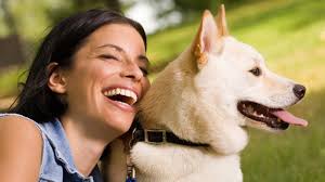 Dog boarding in Leighton-Buzzard