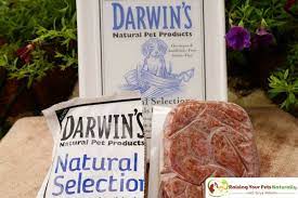 Best Raw Dog Food Reviews Darwin S Natural Pet Products Raw Dog Food Review Raw Dog Food Diet Best Dog Food Brands Dog Food Recipes