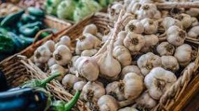 Image result for are all parts of garlic edible