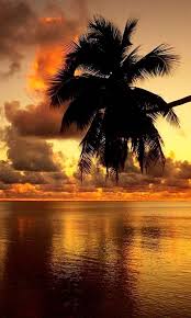 Golden Sunset Beautiful Sunrise Beautiful Sunset Sunrise Beach