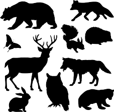 Download Woodland Animals Silhouette Icons Png Free Png And Icons Downloads