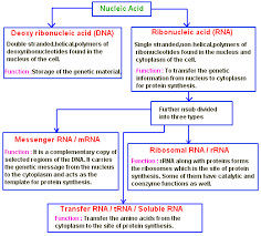 Pin On Macromolocules