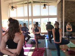 Vinyasa yoga this practice is based on foundational yoga poses performed in a dynamic, flowing style to create a balance of physical action, internal focus, and conscious breathing. Karma Yoga Center In Denver Co Us Mindbody