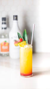 Das ist das neue ebay. Malibu Sunset Cocktail True Style With Ari