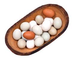 Now you can enjoy real. Unwashed Fresh Organic Gmo And Soy Free Pasture Raised Chicken Eggs Warm Cozy Winter Gloves Stock Image Image Of Eggshell Dozen 106633953