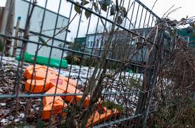 März lockerungen im handel und bei freizeitaktivitäten. Freiburger Kita Immergrun Mitarbeiter Ohne Symptome Brachte Wohl Virus In Kita Baden Wurttemberg Stuttgarter Nachrichten