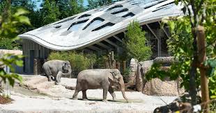 Check out updated best hotels & restaurants near zurich zoo. Zoo Zurich Zoo Zurich Zoological Garden