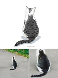 Text of cerita kucing yang comel. 11 Gambar Lukisan Kucing Yang Comel Dan Menarik