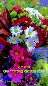Pin Von Kallol Bhattacharya Auf Proud To Be Bengali Schone Blumen Schone Blumenbilder Exotische Blumen