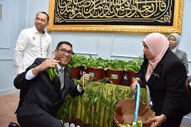 Tawaran kenyataan sebutharga jabatan pertanian negeri kedah. Kerajaan Negeri Perak Sedia Kit Pakej Bumi Hijau Galak Komuniti Bercucuk Tanam 25 Jun 2020