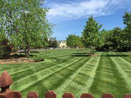 The co owner jamey taylor informed me face to face that he would make proper reparations of $2500 right away. Premier Lawn And Tree Care Home Facebook