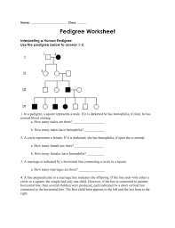 pedigree worksheet