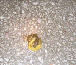 Dec 08, 2020 · diarrhea and weight loss can both be a signs of malabsorption related to celiac disease, crohn's disease, or problems with your pancreas. Lethargic Hen With Undigested Grains In Poop Backyard Chickens Learn How To Raise Chickens