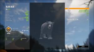 Some bears weigh much more or much less than this average, though. Got This Nice Max Weight Black Bear From The New Map Flinter Must Be Jealous Thehunter