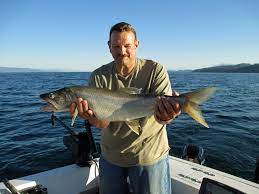 Flathead Lake In Montana Detailed Fishing Recreation Guide
