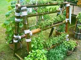 To Go Along With The Bamboo Vertical Garden For The Herbs And Spices Here Is A Great Example Of The Type Of Vegetable Garden I Would Include Kebun Taman House