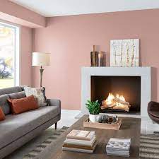 Dead Flat Interior Paint Pr10501