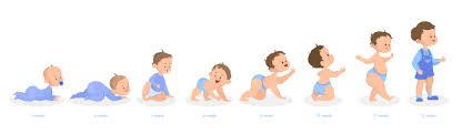 Baby Growth Process Newborn Preschool Child Physical Development In Children Physical Development Baby Growth
