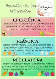 Funcion De Los Alimentos Clasificacion De Los Alimentos Alimentos Actividades Fisicas