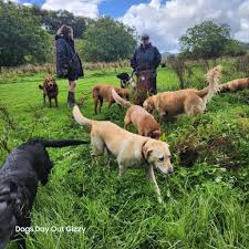 DOGS DAY OUT GIZZY added a new photo...