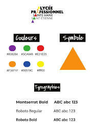 Charte Graphique Fichier Pdf