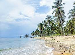 Yang akan ditampilkan bersamaan dengan tabel harga tiket masuk taman mini indonesia indah (tmii) dan wahana terlengkap. Pantai Sebalang Tarahan Lampung Selatan Harga Tiket Masuk Alamat Jam Buka