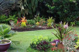 Though there are many more perennials than listed here, each of these plants is. A Guide To Winter In The South Florida Garden