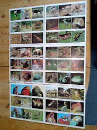 Memory spiel zum deutsch lernen. Altes Tier Lotto Spiel 54 Farbige Tierbilder Zoologischer Garten Berlin Kompl Eur 13 99 Picclick De