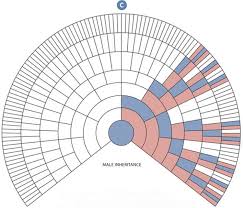 X Chromosomal X Dna Testing The Family Tree Guide To Dna