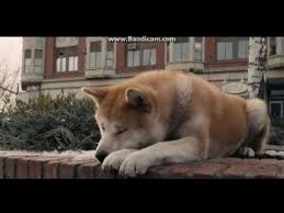 Contact musica triste on messenger. Pin On Musica Tristes