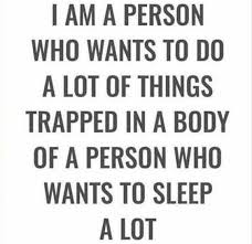 24 Hilarious Quotes Funny Quotes Words Inspirational Quotes