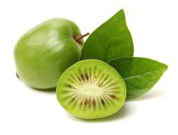 Image result for foto minikiwi