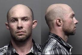 Daily Booking Report: December 31, 2015