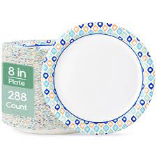 Amazon.com: MUCHII 8.375 Inch Disposable Paper Plates, 288 Count Paper  Plates, Soak-Proof Disposable Paper Plates for Daily Use, Cut-Proof Holiday  Paper Plates for Family Gatherings, Parties Picnic And So On. : Home