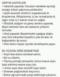 Muserref Erdogan Adli Kullanicinin Bir Nefes Sihhat Panosundaki Pin Grip Kas Saglik