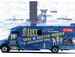 If you do the analysis in just one it is a good way to train my dogs. Free Spay And Neuter Oct 16th 2015 The Lucy Pet Foundation