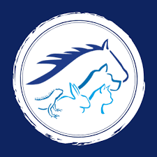 We are increasing cleaning and sanitizing public spaces and have provided hand sanitizer for clients at our front desk. Paws N Hooves Veterinary Group Home Facebook
