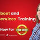 Free Demo on Springboot and Microservices Training event image