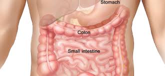 what is colon hydrotherapy benefits of