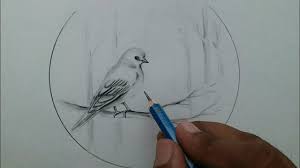 How to draw a bird scenery with pencil step by step, pencil drawing for beginners dear friends subscribe for more drawing taposhi arts academy, simple pencil drawing beautiful bird with flower/easy bird scenery drawing, art by kalyan roy. Easy Bird Drawing Step By Step Nature Pencil Drawing For Beginners Youtube
