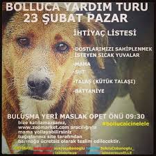 Arnavutkoy Sokak Hayvanlari Posts Facebook